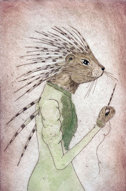 porcupine, quill, animal, etching, intaglio, creatures, wild, drypoint, watercolor 